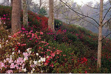 Fami通销量榜:《小小梦魇3》上榜《马车》重回第一